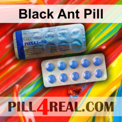 Black Ant Pill 730