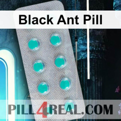 Black Ant Pill 831