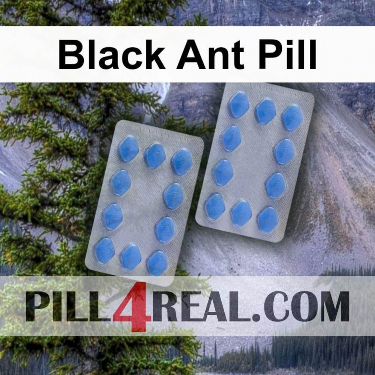 Black Ant Pill 840