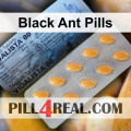 Black Ant Pills 031