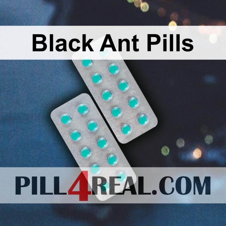 Black Ant Pills 041