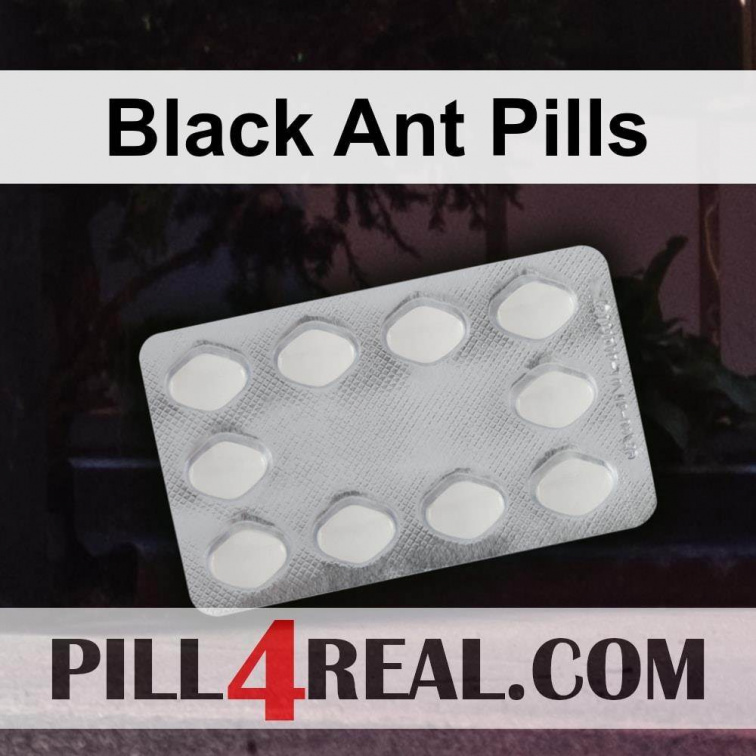 Black Ant Pills 385