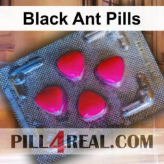 Black Ant Pills 431