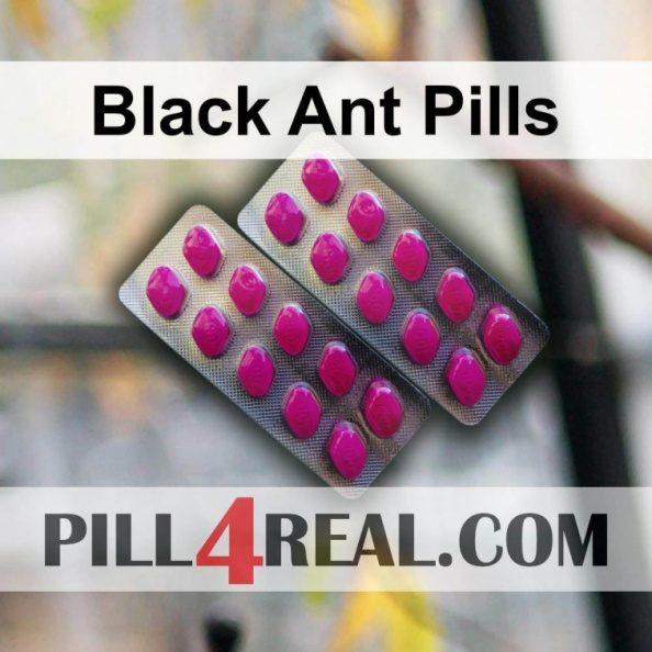 Black Ant Pills 433