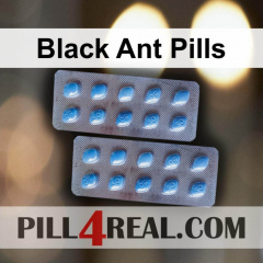Black Ant Pills 514