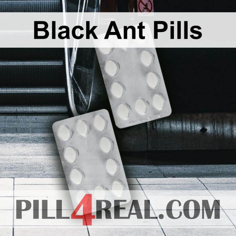 Black Ant Pills 684