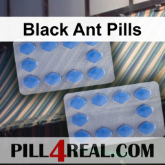 Black Ant Pills 926