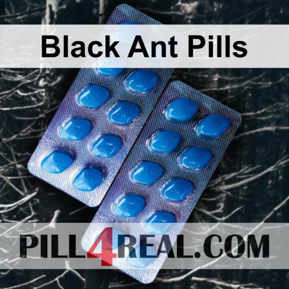 Black Ant Pills 938