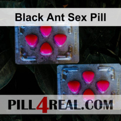 Black Ant Sex Pill 050
