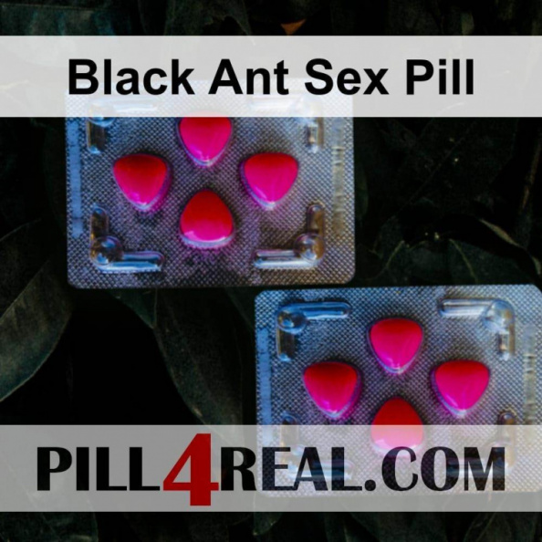 Black Ant Sex Pill 050