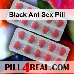 Black Ant Sex Pill 099