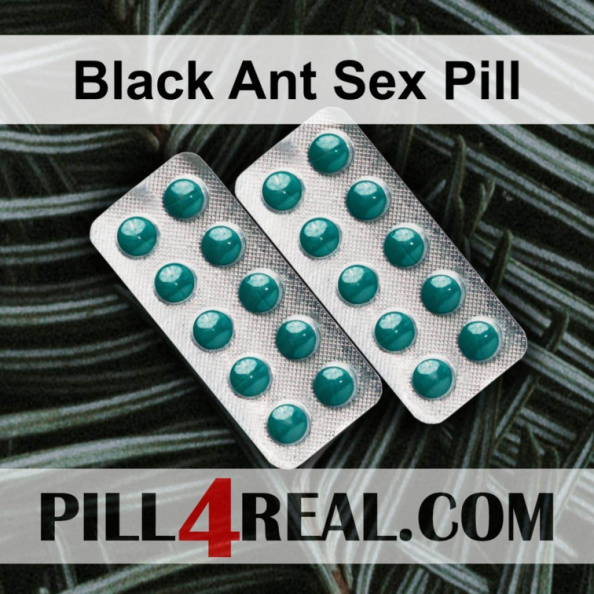 Black Ant Sex Pill 264