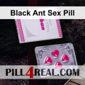 Black Ant Sex Pill 503