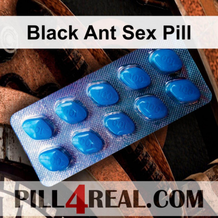 Black Ant Sex Pill 622
