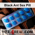 Black Ant Sex Pill 622