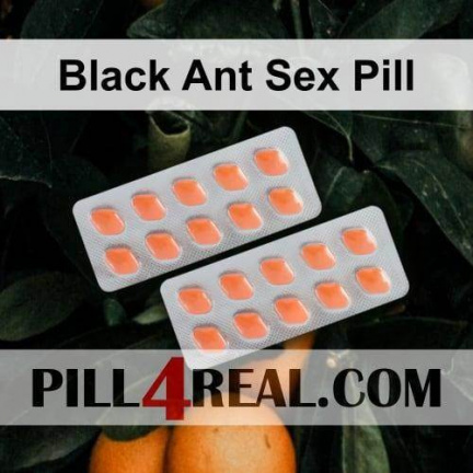 Black Ant Sex Pill 666