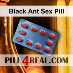 Black Ant Sex Pill 704