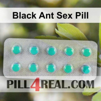 Black Ant Sex Pill 707