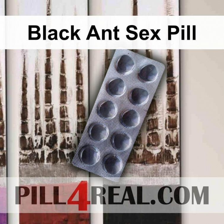 Black Ant Sex Pill 819