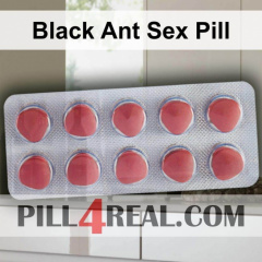 Black Ant Sex Pill 821