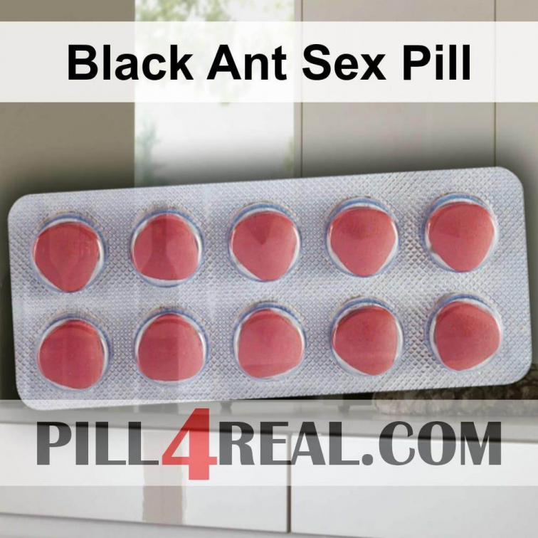 Black Ant Sex Pill 821