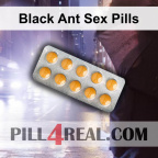 Black Ant Sex Pills 002