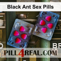 Black Ant Sex Pills 166