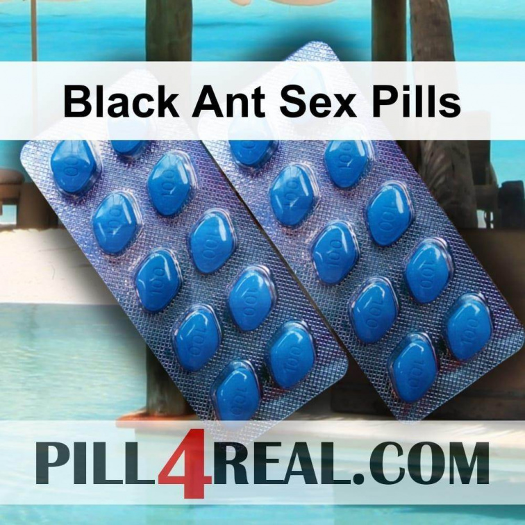 Black Ant Sex Pills 314