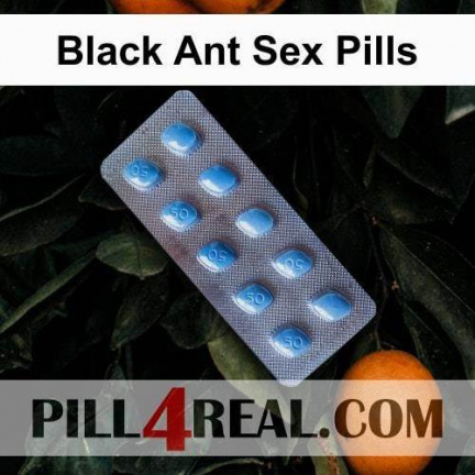 Black Ant Sex Pills 388