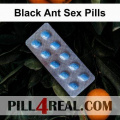 Black Ant Sex Pills 388
