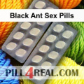 Black Ant Sex Pills 434