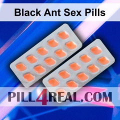 Black Ant Sex Pills 449