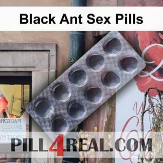 Black Ant Sex Pills 501