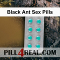 Black Ant Sex Pills 543
