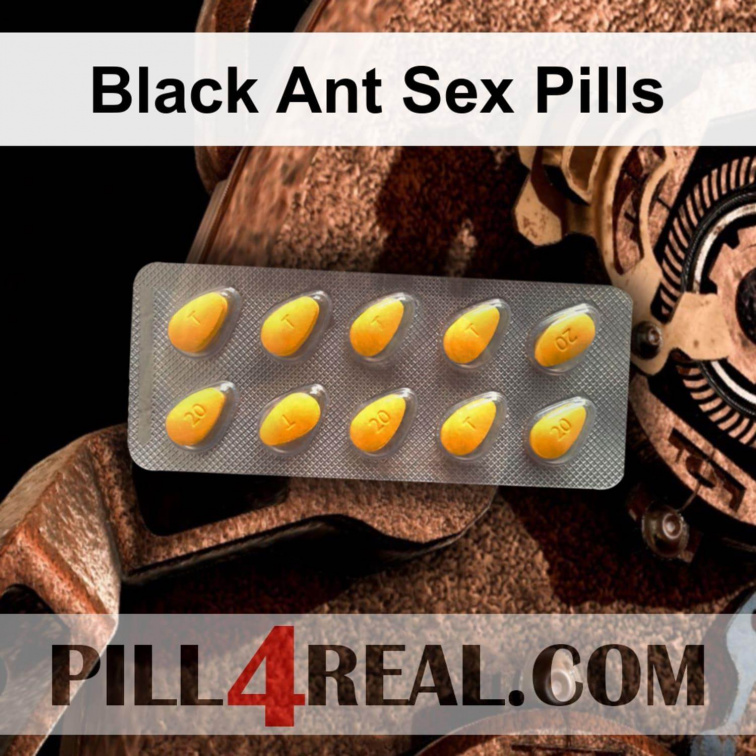 Black Ant Sex Pills 625