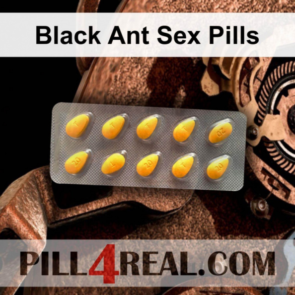 Black Ant Sex Pills 625