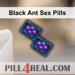Black Ant Sex Pills 824