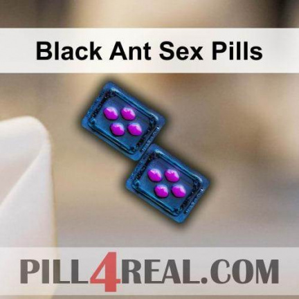 Black Ant Sex Pills 824
