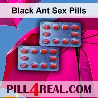 Black Ant Sex Pills 965