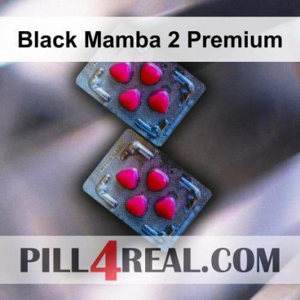 Black Mamba 2 Premium 004