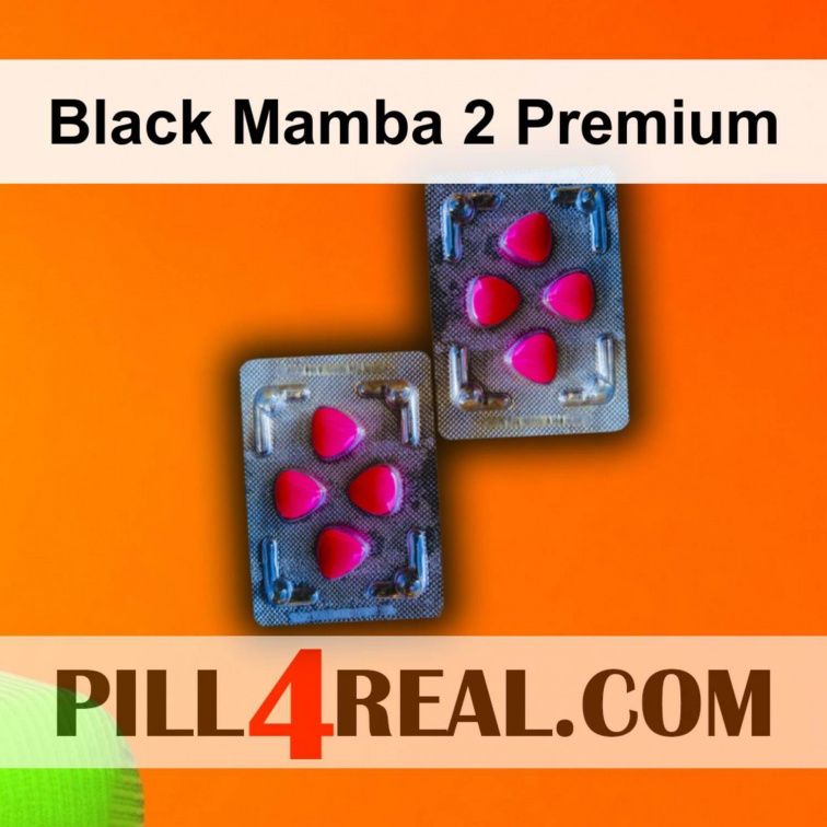 Black Mamba 2 Premium 013