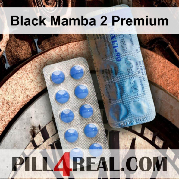 Black_Mamba_2_Premium_035.jpg