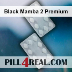 Black Mamba 2 Premium 045