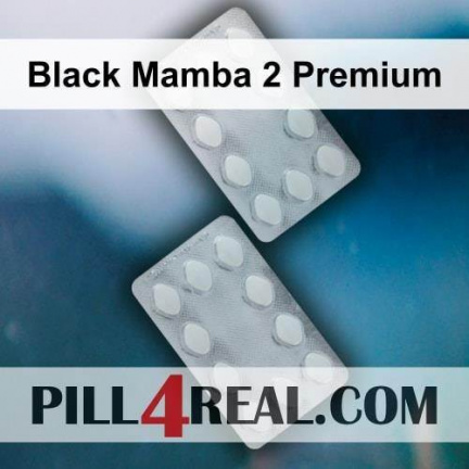 Black Mamba 2 Premium 045
