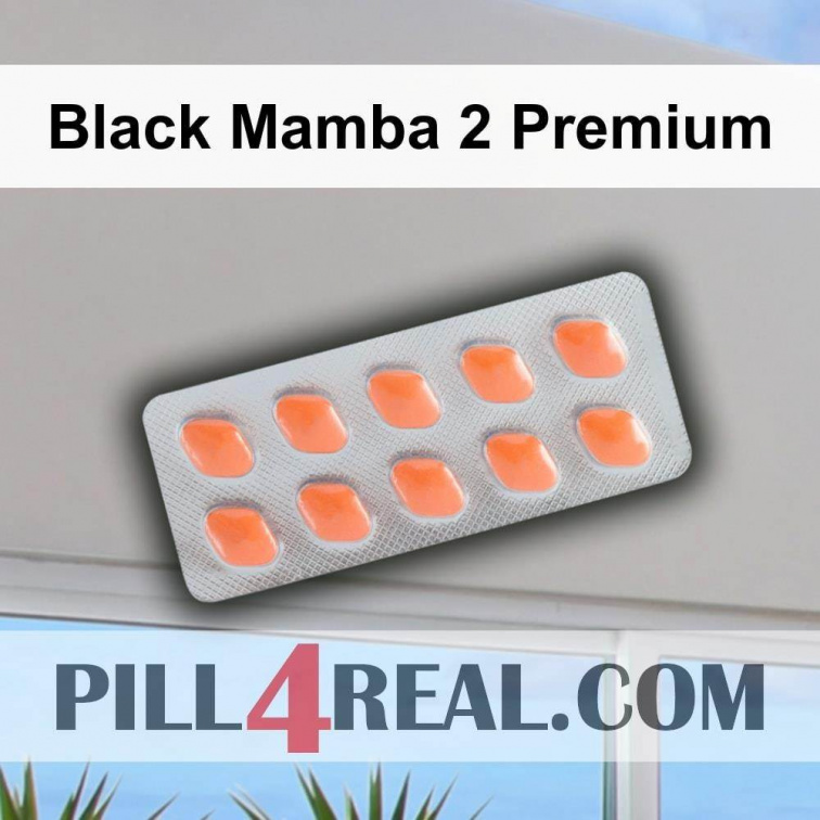 Black Mamba 2 Premium 147