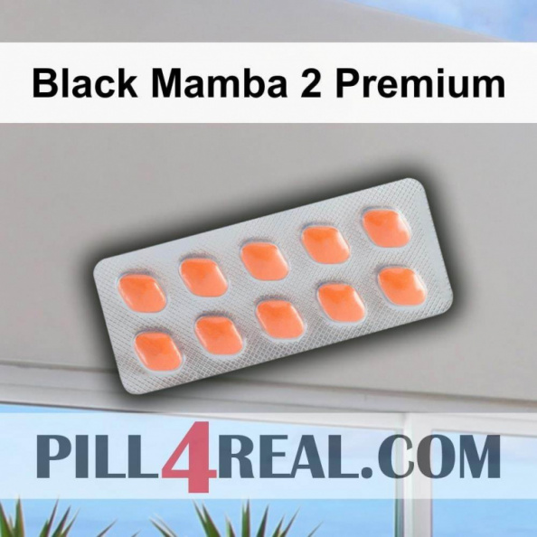 Black Mamba 2 Premium 147
