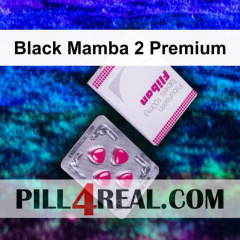Black Mamba 2 Premium 169
