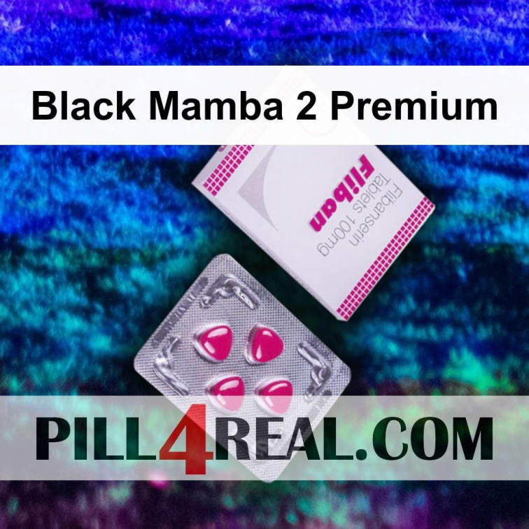 Black Mamba 2 Premium 169