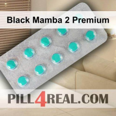Black Mamba 2 Premium 172