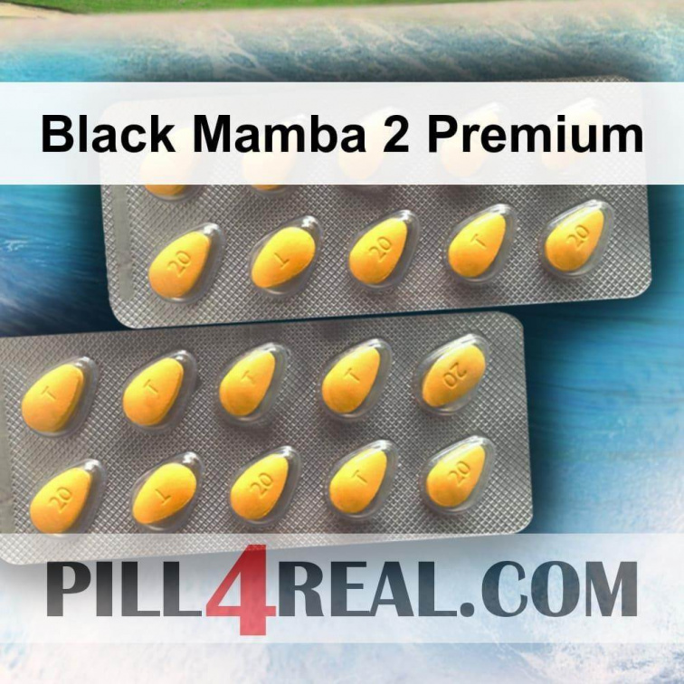 Black Mamba 2 Premium 264